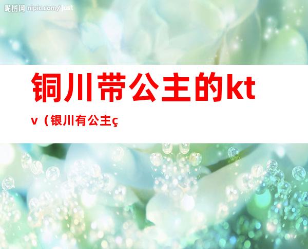 铜川带公主的ktv(银川有公主的地方)