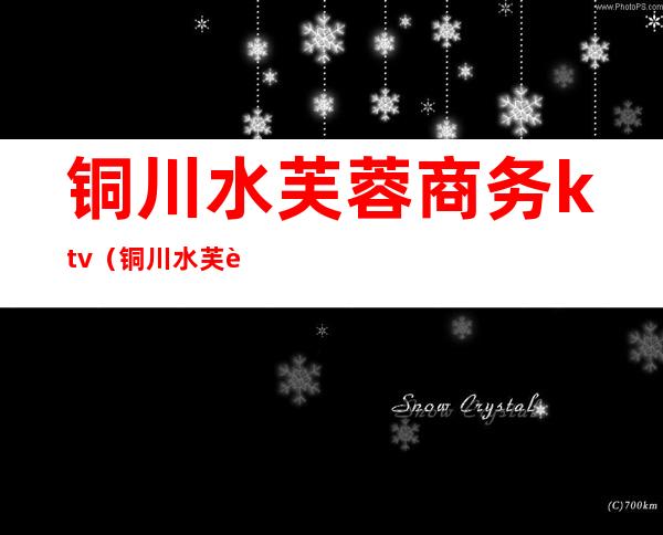 铜川水芙蓉商务ktv(铜川水芙蓉商务KTV服务项目)