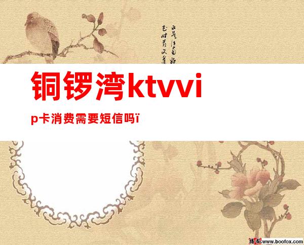 铜锣湾ktvvip卡消费需要短信吗(铜锣湾ktvwifi密码)