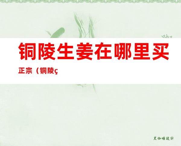 铜陵生姜在哪里买正宗(铜陵生姜什么牌子好吃哪里买)