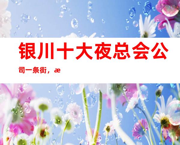 银川十大夜总会公司一条街，有机会来银川逛逛