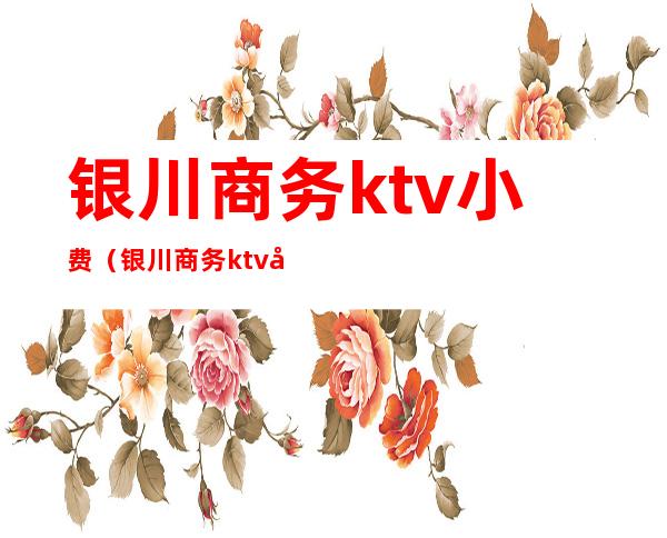 银川商务ktv小费(银川商务ktv小费多少)