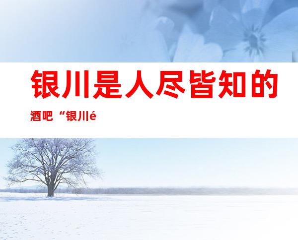 银川是人尽皆知的酒吧“银川音豪酒吧”