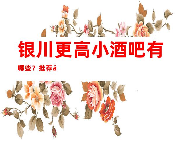 银川更高小酒吧有哪些？推荐十家总有适合你的