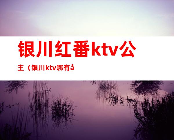 银川红番ktv公主(银川ktv哪有公主呢)