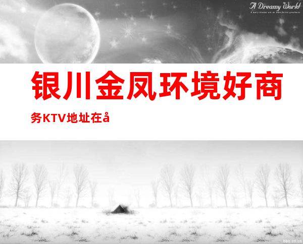 银川金凤环境好商务KTV地址在哪里 – 银川金凤商务KTV