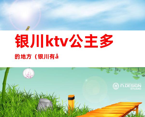 银川ktv公主多的地方(银川有公主的KTV)