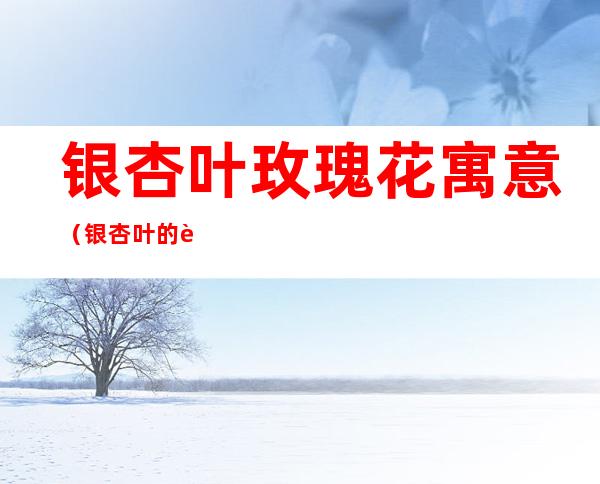银杏叶玫瑰花寓意（银杏叶的花语和象征意义）