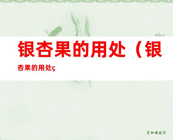 银杏果的用处(银杏果的用处 百度网盘)