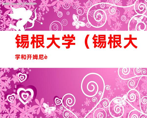 锡根大学(锡根大学和开姆尼茨工业大学)