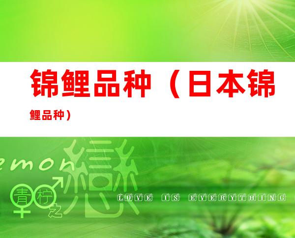 锦鲤品种(日本锦鲤品种)