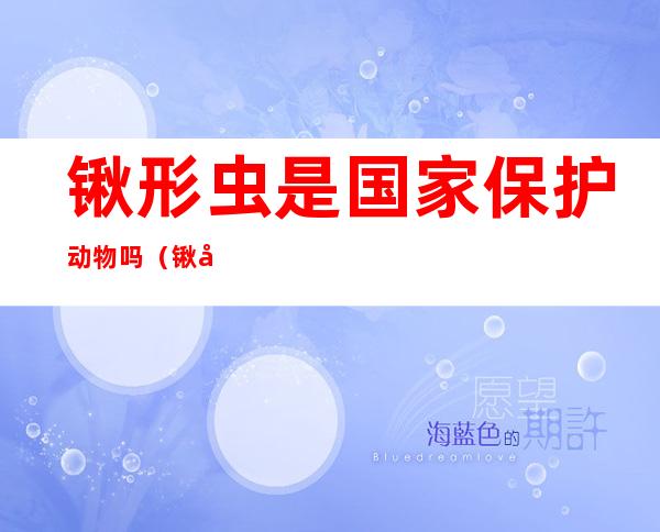 锹形虫是国家保护动物吗（锹形虫是不是国家保护动物）