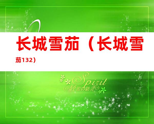 长城雪茄(长城雪茄132)