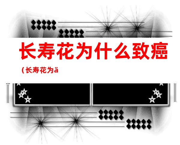 长寿花为什么致癌(长寿花为什么致癌 新闻)