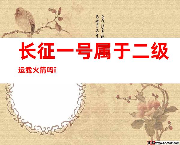 长征一号属于二级运载火箭吗(长征一号属于二级运载火箭吗?)
