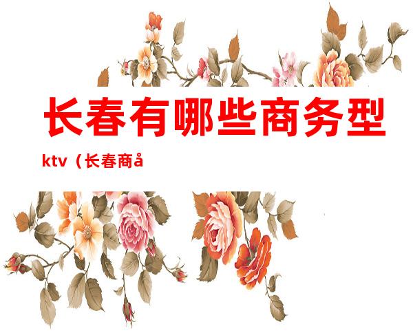 长春有哪些商务型ktv（长春商务车）