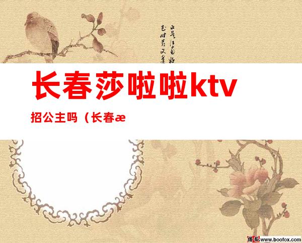 长春莎啦啦ktv招公主吗(长春欢乐迪ktv有公主吗)