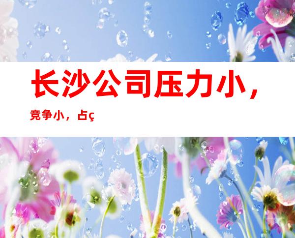 长沙公司压力小,竞争小,占用您2分钟看一下