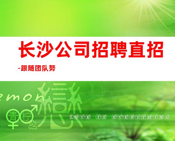 长沙公司招聘直招-跟随团队努力赚