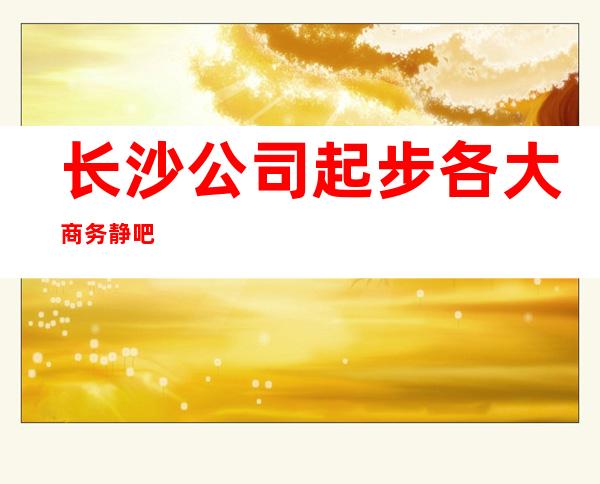 长沙公司起步各大商务静吧