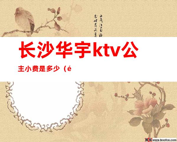 长沙华宇ktv公主小费是多少(长沙华宇酒店ktv包厢费)