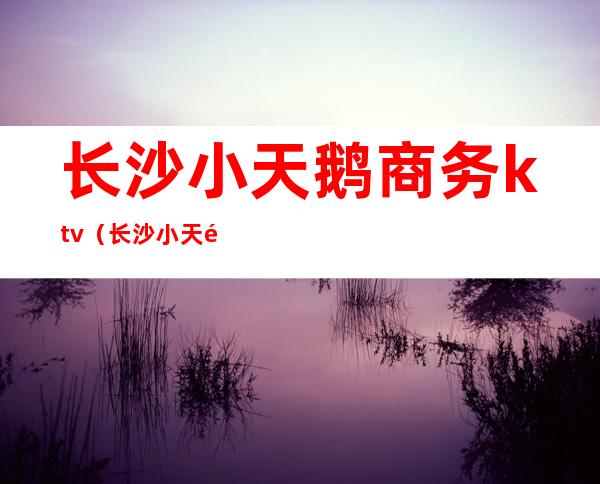 长沙小天鹅商务ktv(长沙小天鹅商务会所)