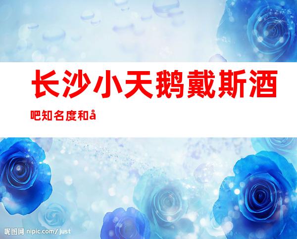 长沙小天鹅戴斯酒吧知名度和口碑其高档的好酒吧