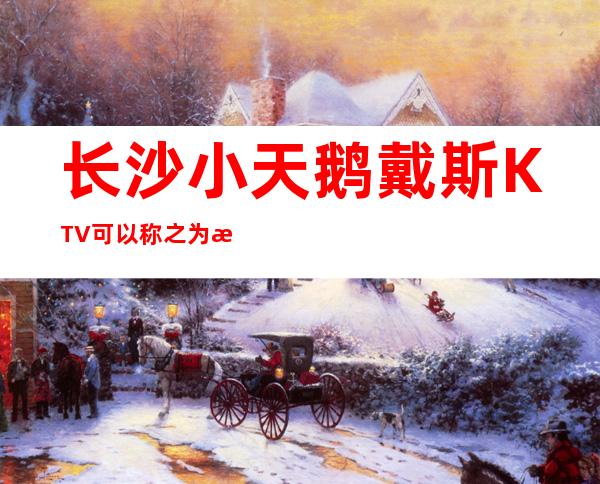 长沙小天鹅戴斯KTV可以称之为新时代的梦想和夜总会