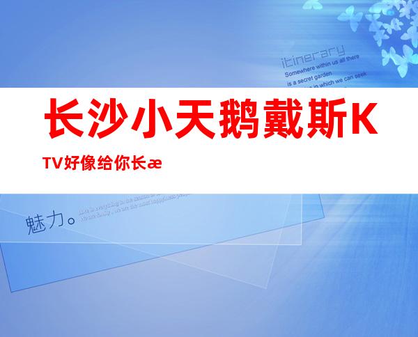 长沙小天鹅戴斯KTV好像给你长沙更真实的更高夜总会享受