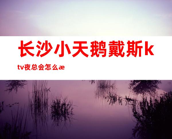 长沙小天鹅戴斯ktv夜总会怎么消费,ktv有什么好玩的