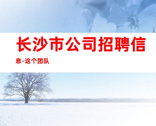 长沙市公司招聘信息-这个团队有实力