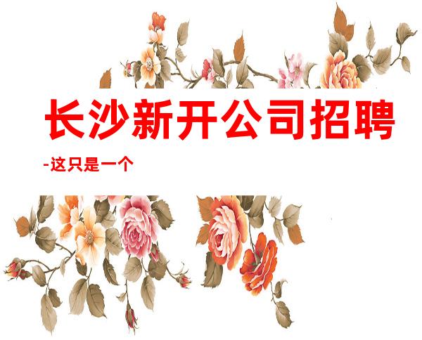 长沙新开公司招聘-这只是一个起点