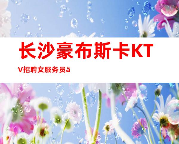 长沙豪布斯卡KTV招聘女服务员信息-收入稳定15起