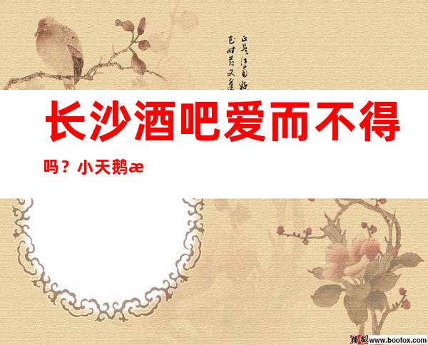 长沙酒吧爱而不得吗？小天鹅戴斯酒吧带你进入酒吧