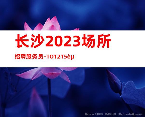 长沙2023场所招聘服务员-1O.12.15起步更高商务KTV招聘