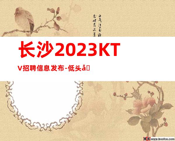 长沙2023KTV招聘信息发布-低头努力总能活成喜欢的样
