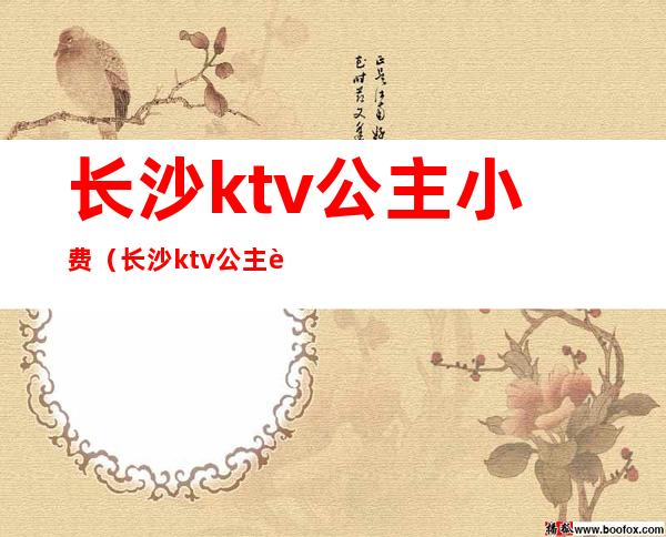长沙ktv公主小费(长沙ktv公主过夜一般多少钱)