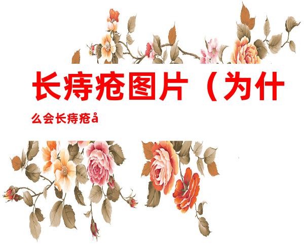 长痔疮图片(为什么会长痔疮图片)