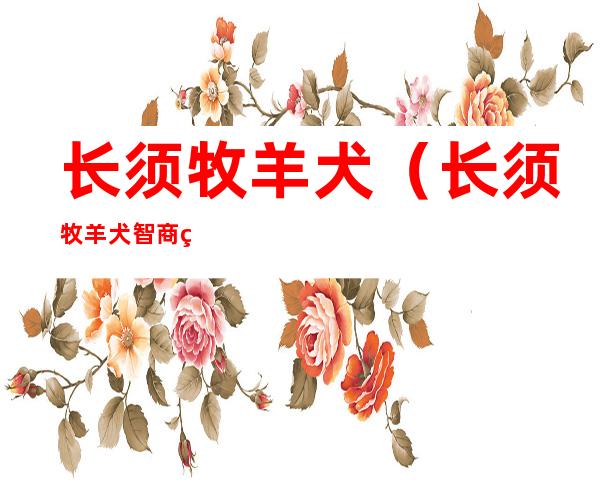 长须牧羊犬(长须牧羊犬智商相当于人类几岁)