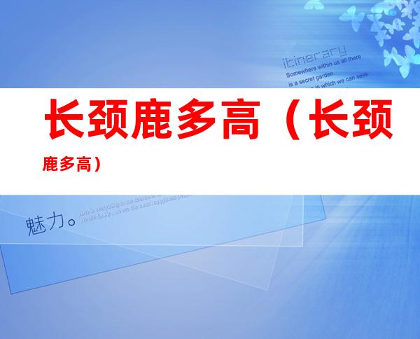 长颈鹿多高(长颈鹿多高?)