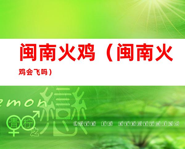 闽南火鸡(闽南火鸡会飞吗)