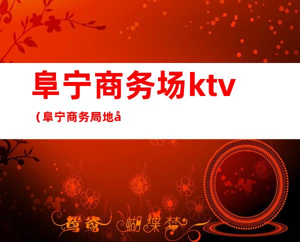 阜宁商务场ktv（阜宁商务局地址）