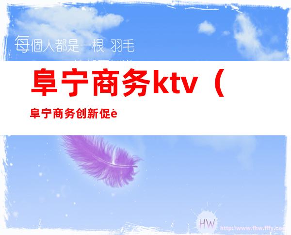 阜宁商务ktv(阜宁商务创新促进会)