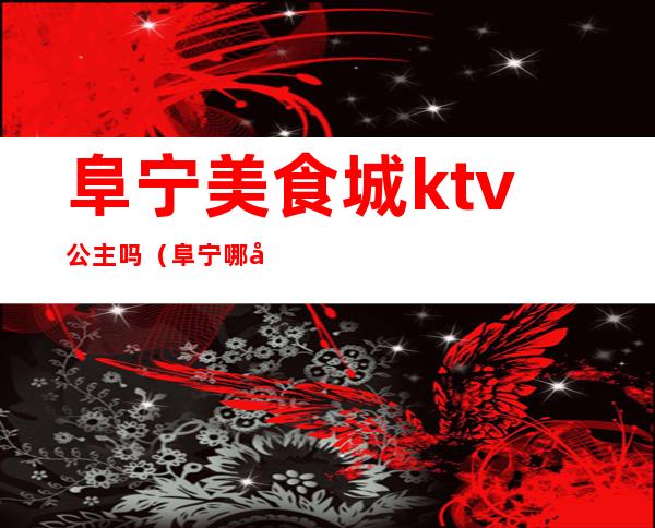 阜宁美食城ktv公主吗（阜宁哪家ktv好玩）
