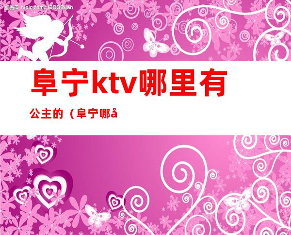 阜宁ktv哪里有公主的(阜宁哪家ktv好玩)