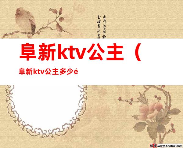 阜新ktv公主(阜新ktv公主多少钱一位)