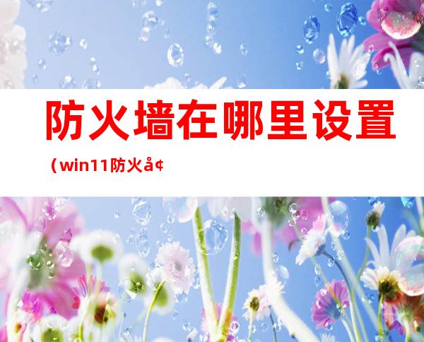 防火墙在哪里设置(win11防火墙在哪里设置)