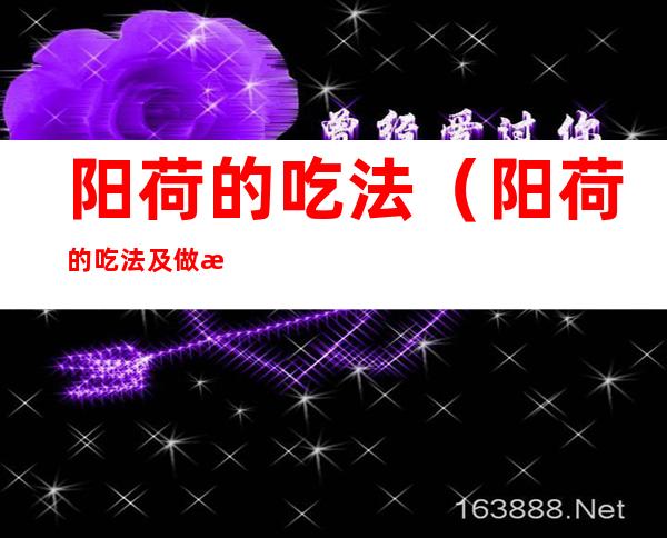 阳荷的吃法（阳荷的吃法及做法大全）