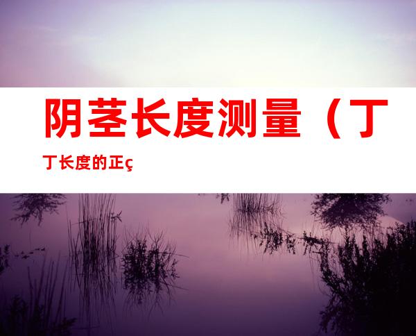 阴茎长度测量(丁丁长度的正确测量)