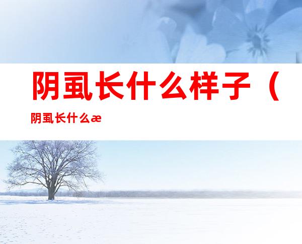 阴虱长什么样子(阴虱长什么样子视频)